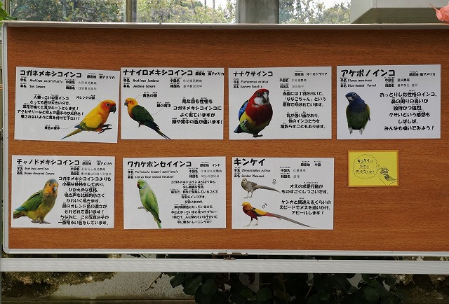 DSC09772-2.jpg