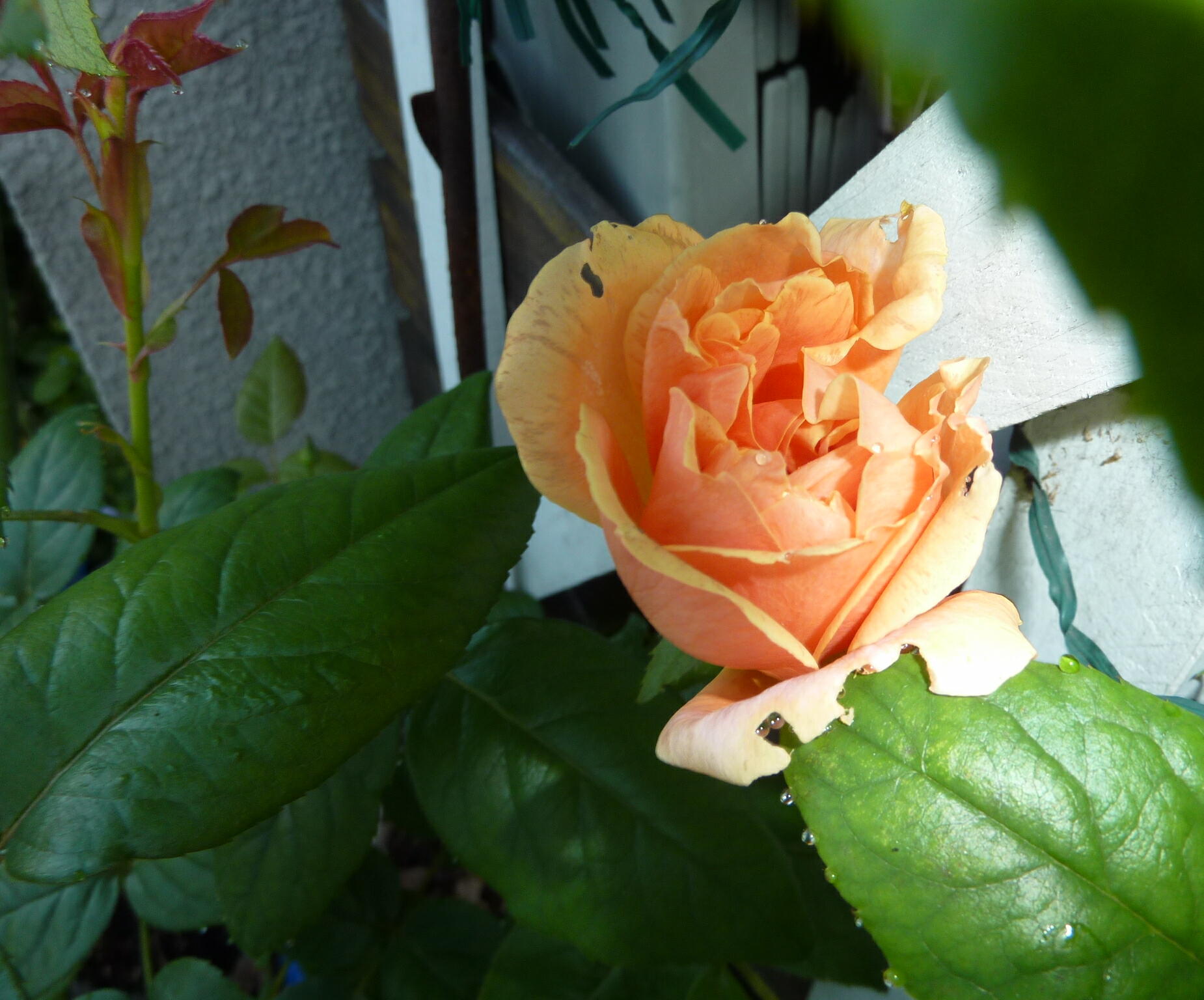 130922-5-0.jpg