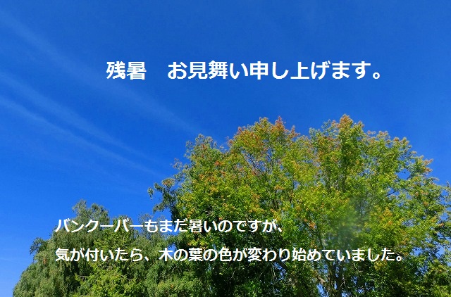 残暑見舞い.jpg