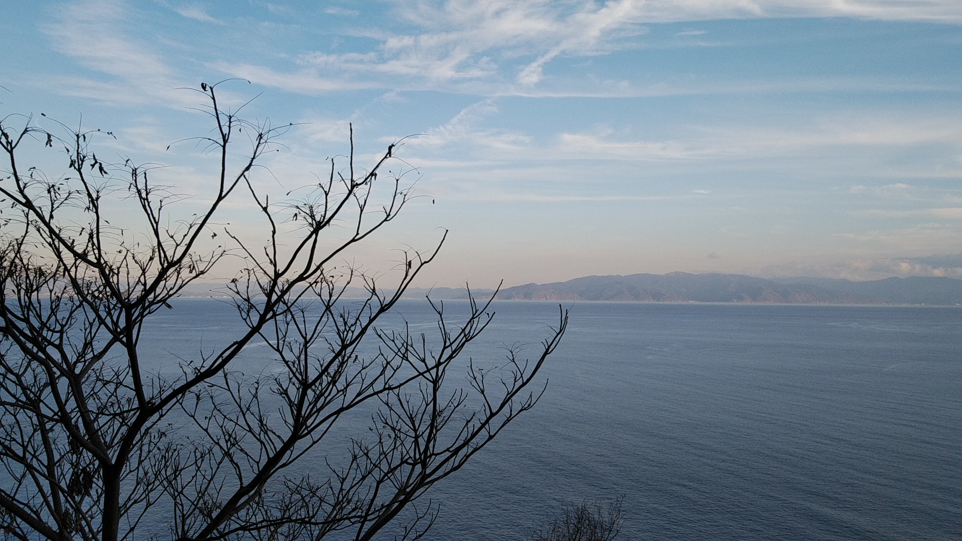 20190111  DSC_0013.jpg.jpg