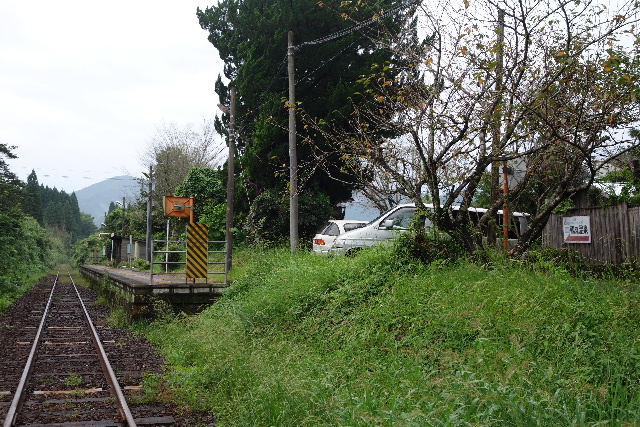 DSC03308.JPG