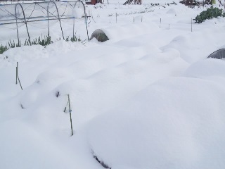 01正月前に降った雪