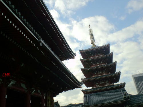2010 1120 (3).JPG