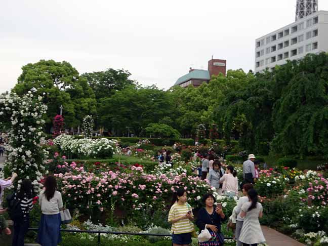山下公園 (4).JPG