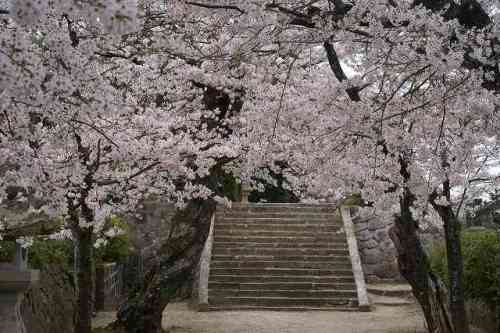 安養寺.jpg