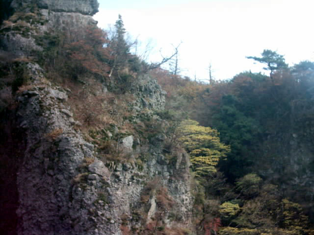 C:\fakepath\shodoshima040.jpg