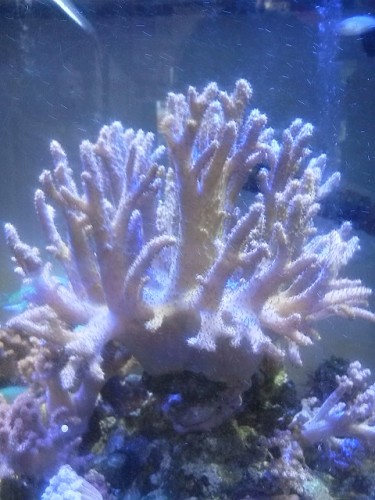 DSC_2514.jpg