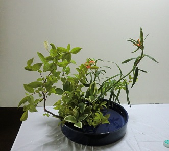 Ｓ子さん