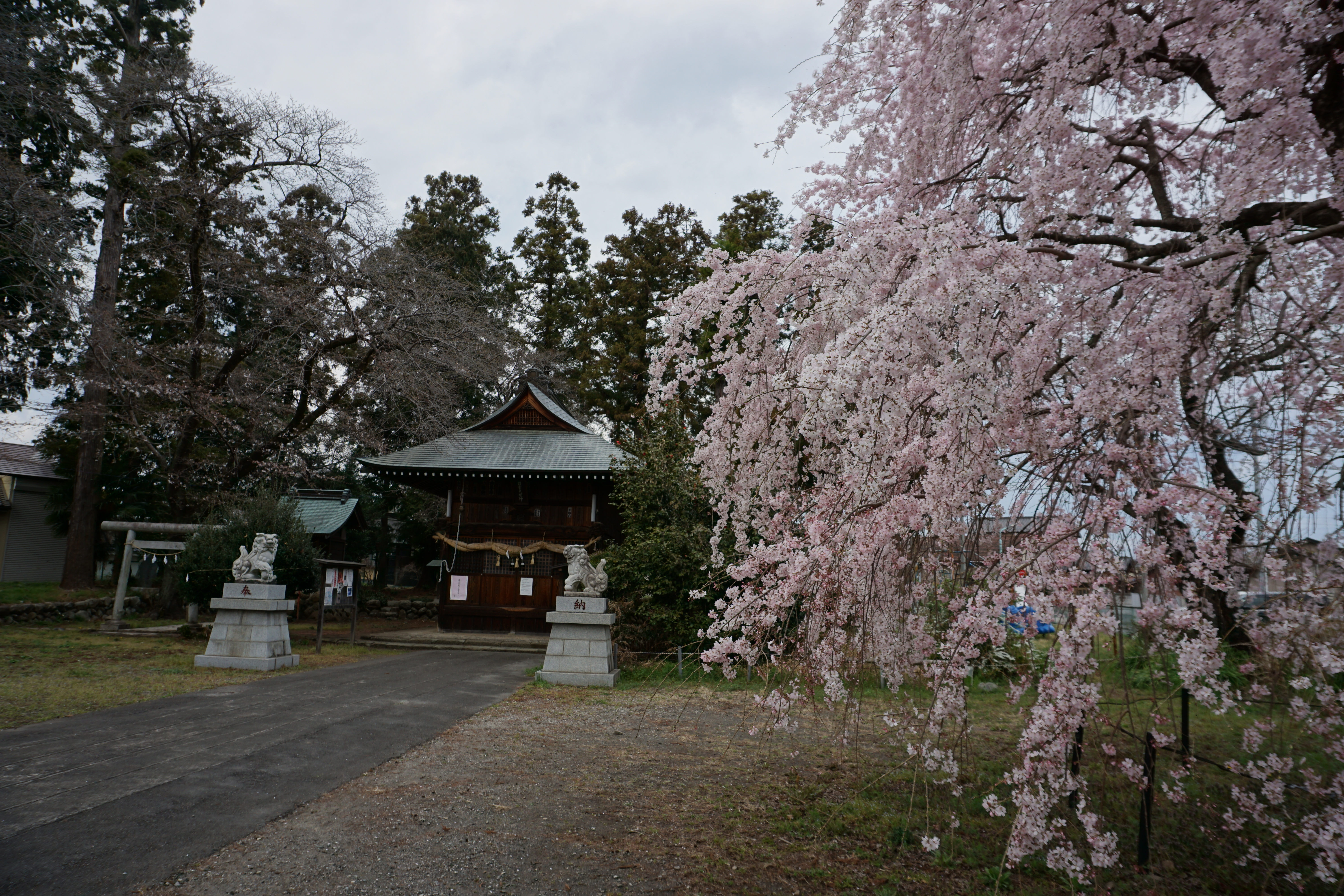 2025年3月1-4.JPG