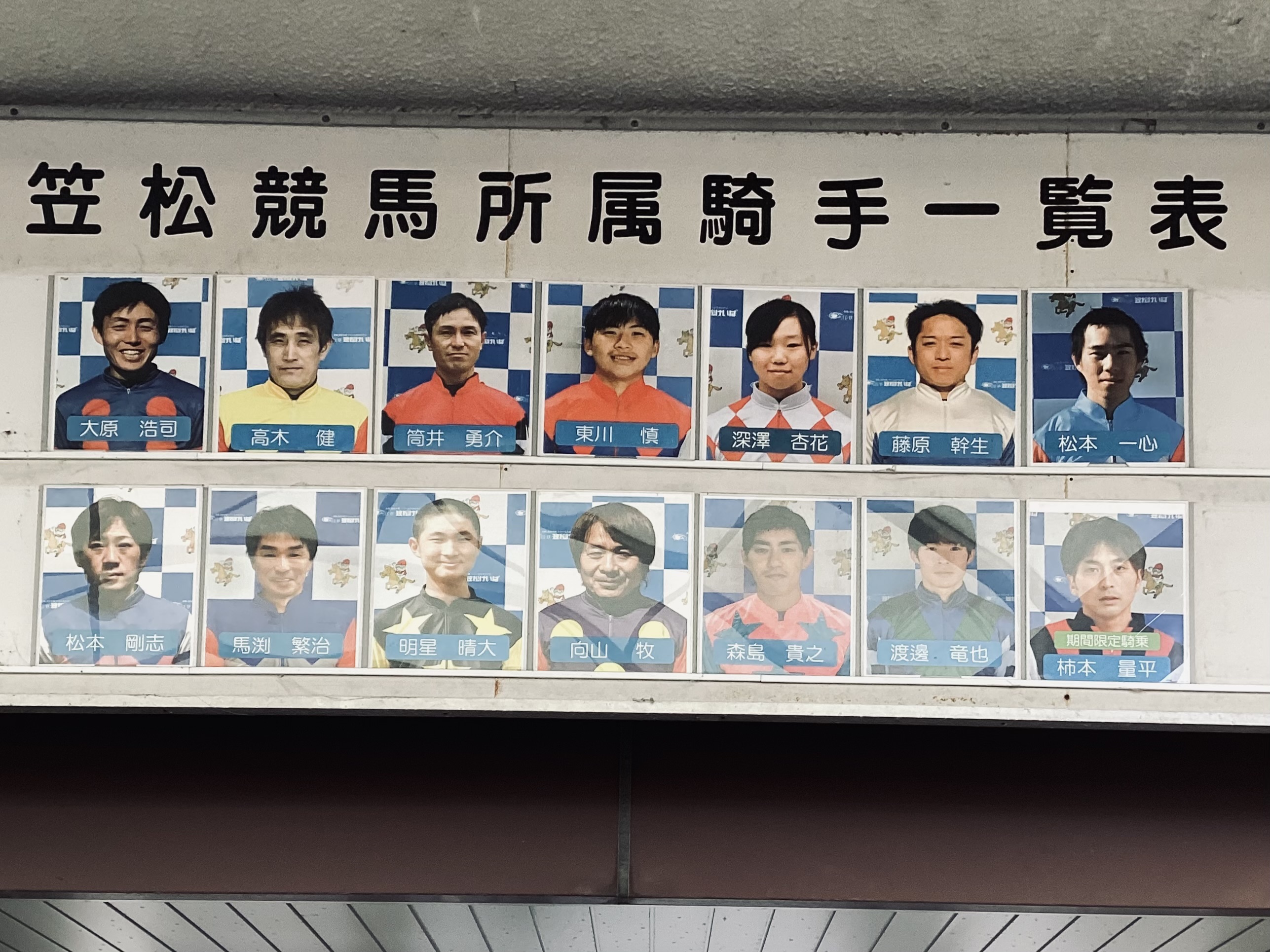 ジョッキー写真一覧柿本入り.jpg