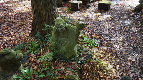 20141112 11252501.jpg