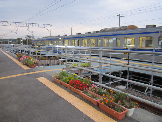 広野駅の花壇