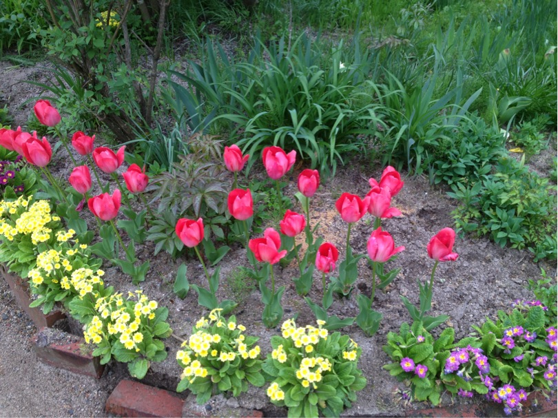 201305100921_5547_iphone.jpg