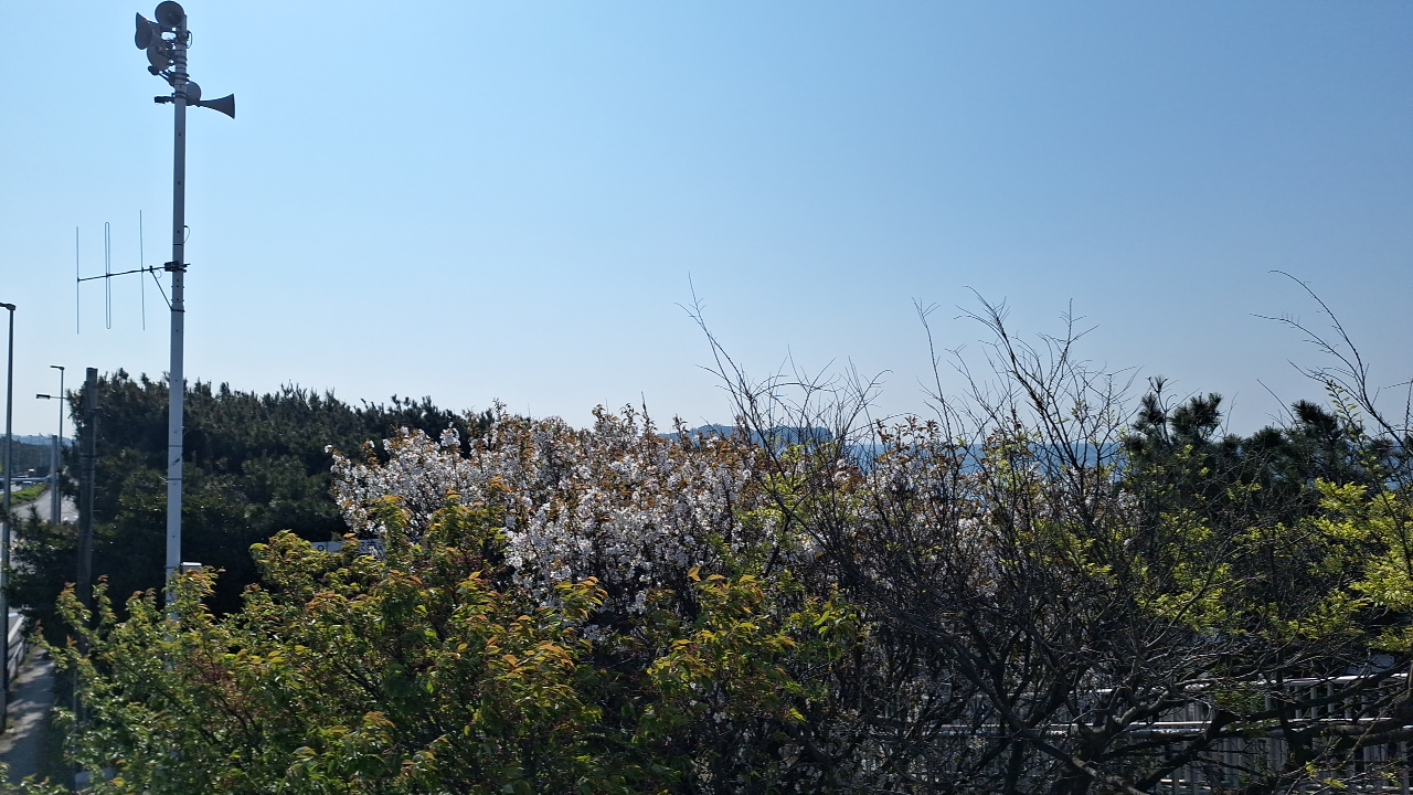 IMG_20250412_081840.jpg
