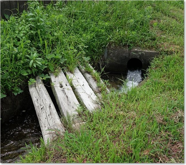 14小さな木の橋