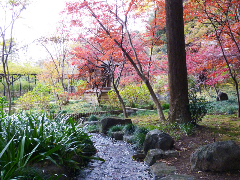 hondoji-033w.jpg
