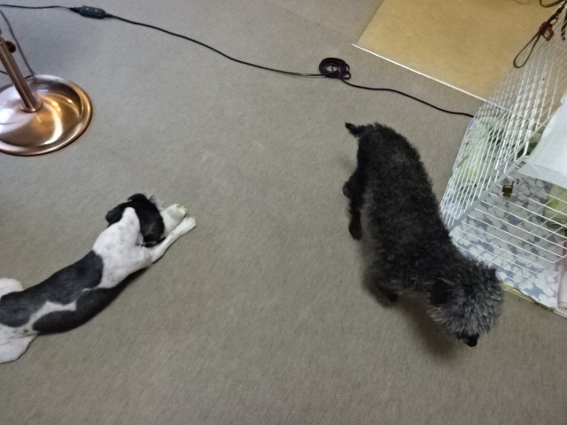 DSC07080.JPG