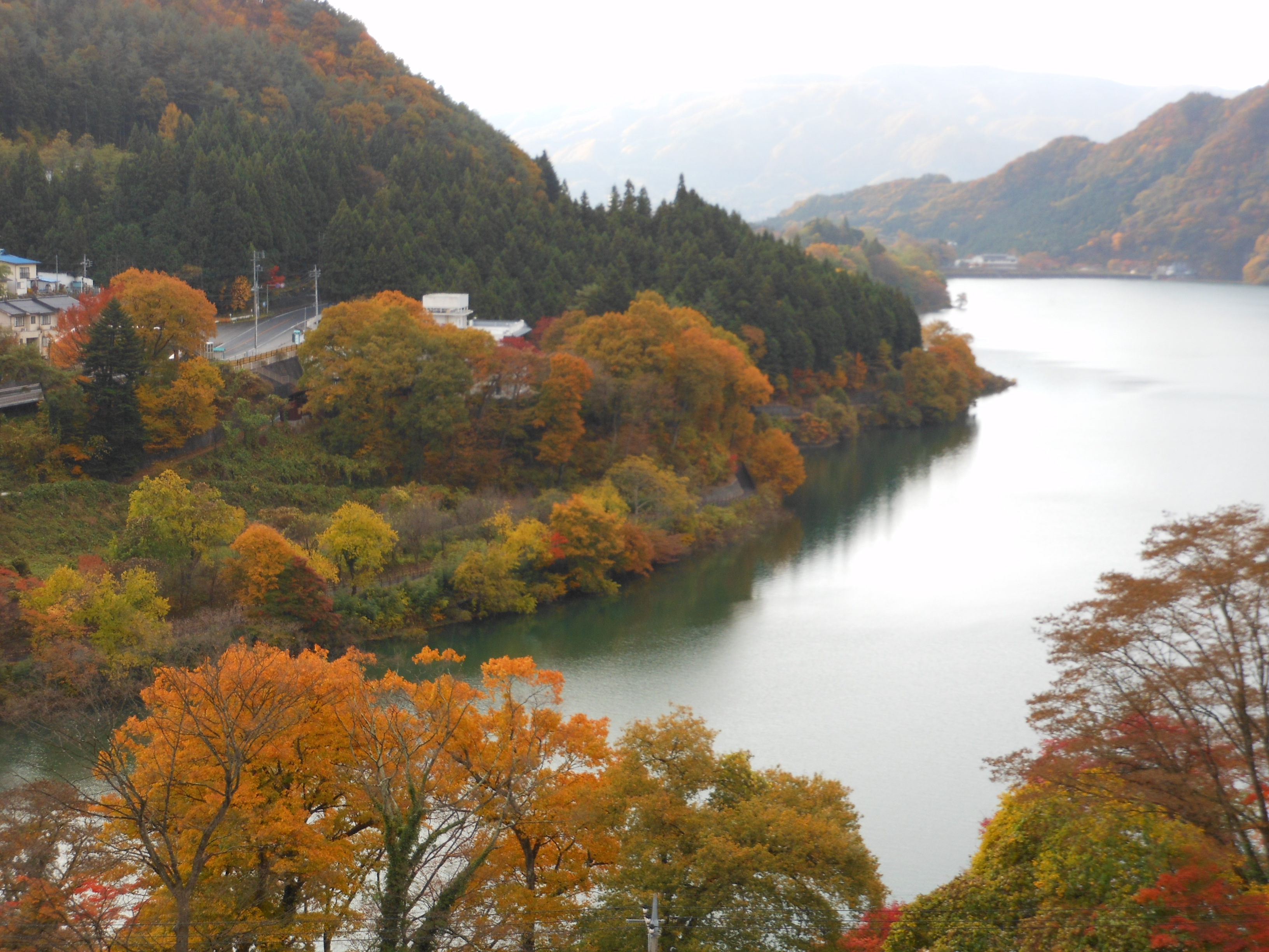 DSCN1021.JPG