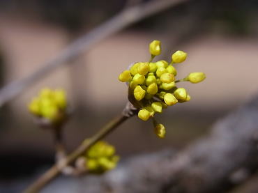 140306-05.jpg