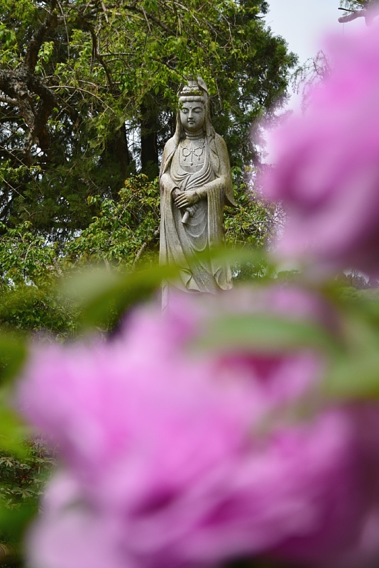 0508-6.jpg