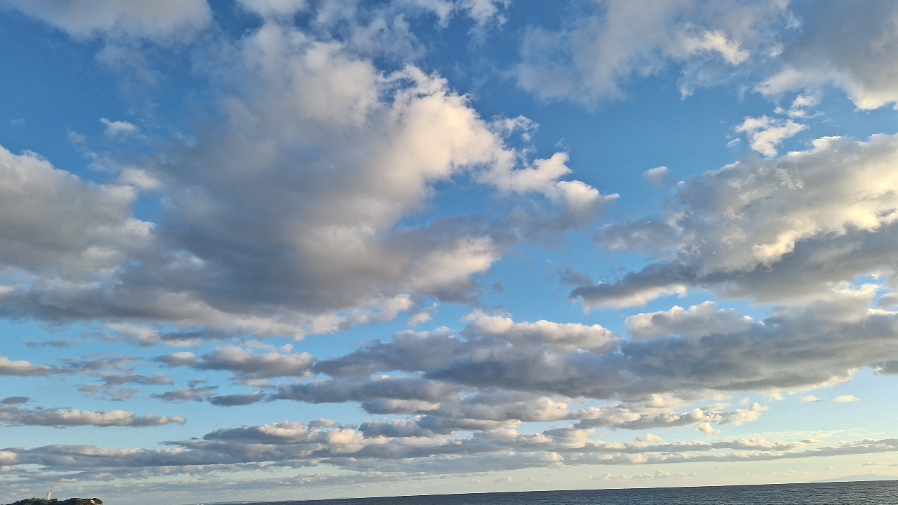 IMG_20241216_154919.jpg