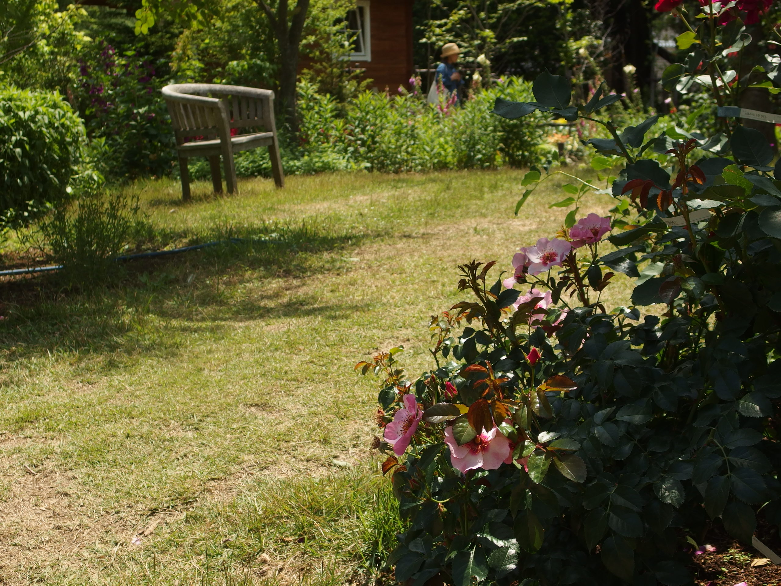 2015-06-10 12.09.28.jpg