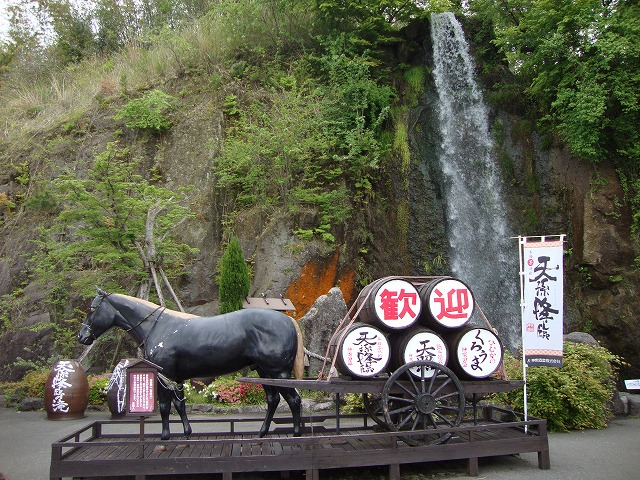 DSC01418.jpg