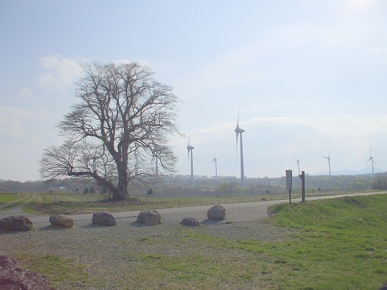 DSCF3202.jpg