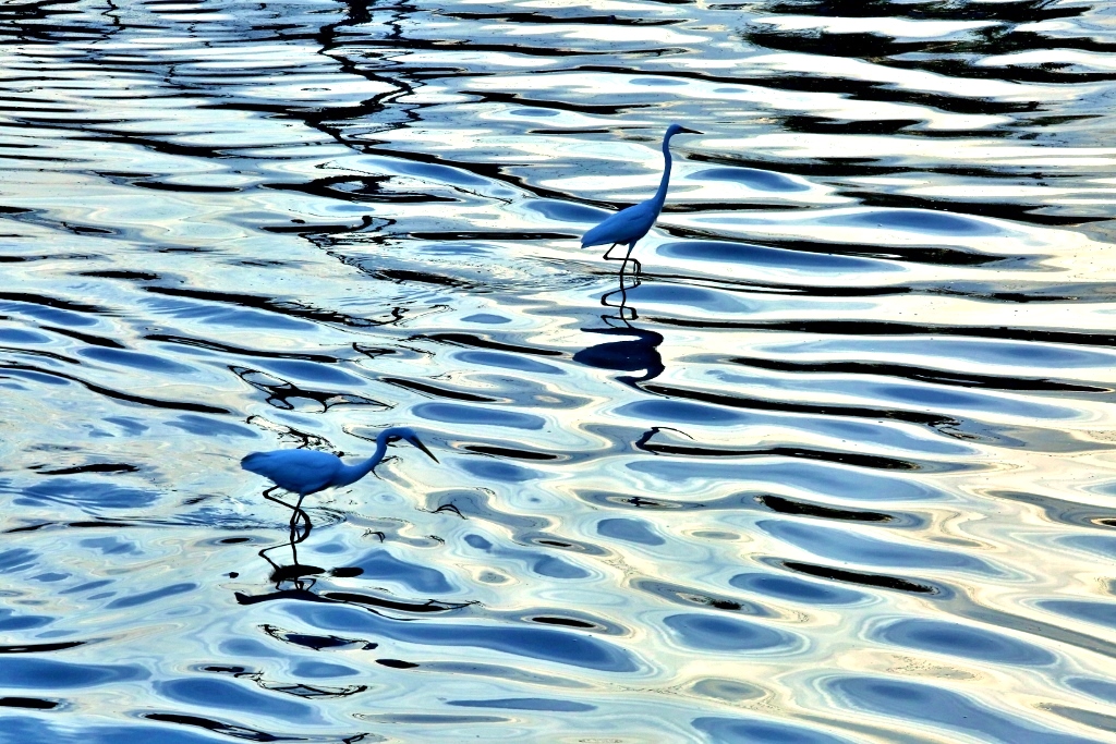 B97A6815 (1024x683).jpg