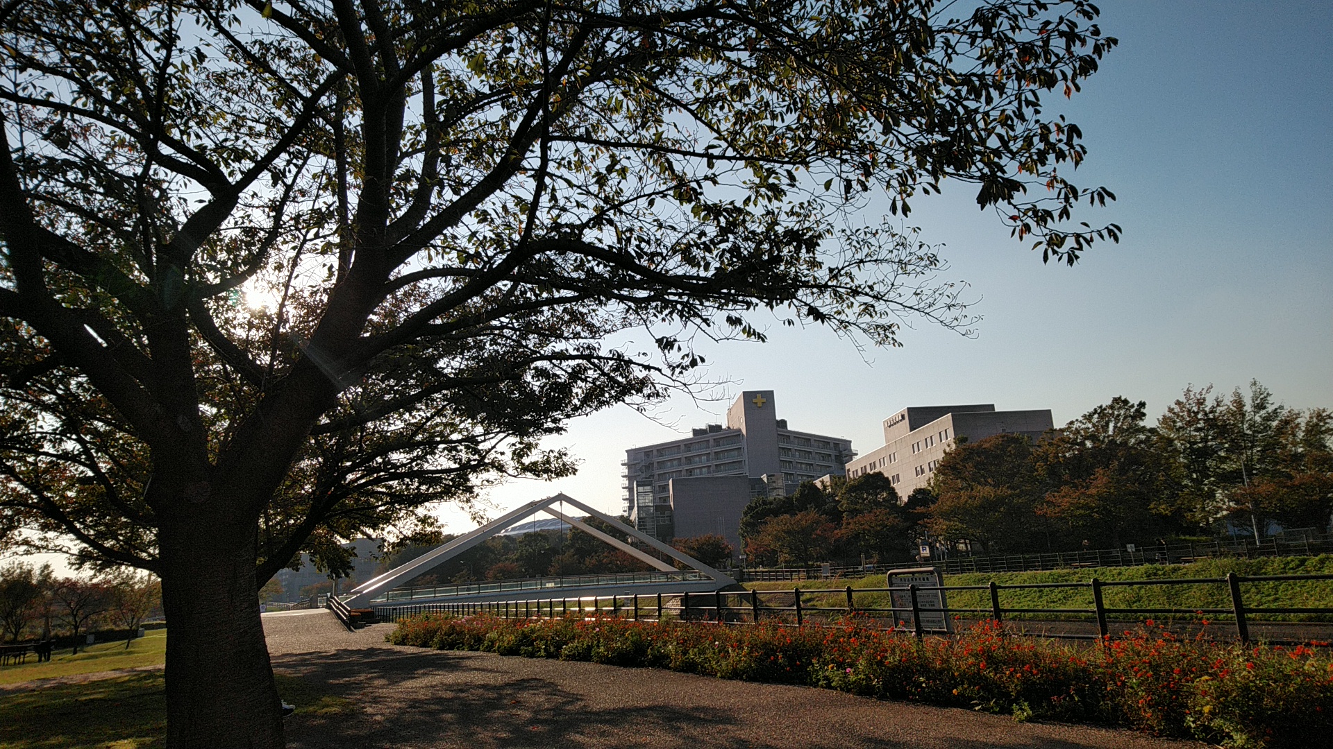 20191106  DSC_0001.jpg.jpg