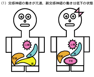 部分と全体 内臓同士の関係 快風身体均整院 楽天ブログ