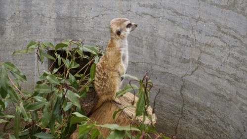 20150420 11333001.JPG