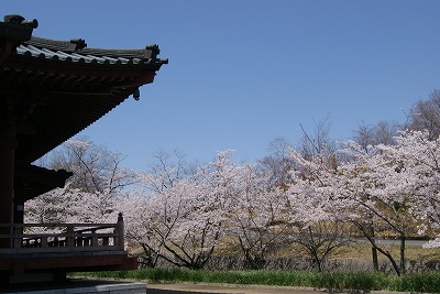 DSC04453.jpg