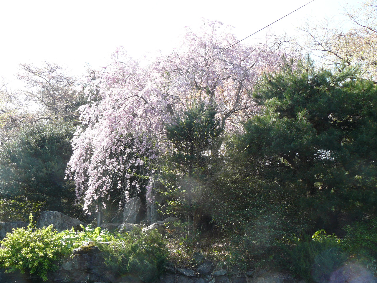 P1090042.JPG