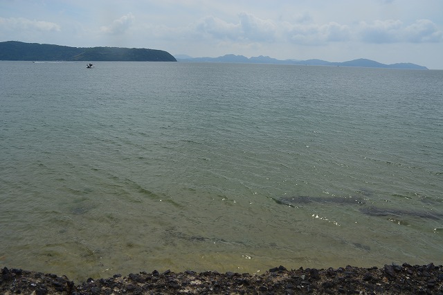 showPhoto (640×426)