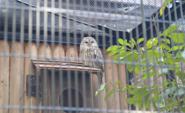 DSC_0988.JPG
