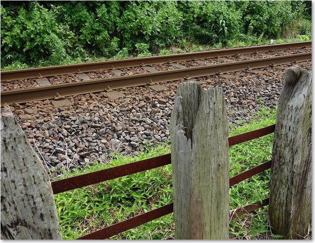 06木の柵と単線