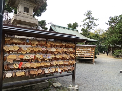 弓弦羽神社５絵馬.JPG