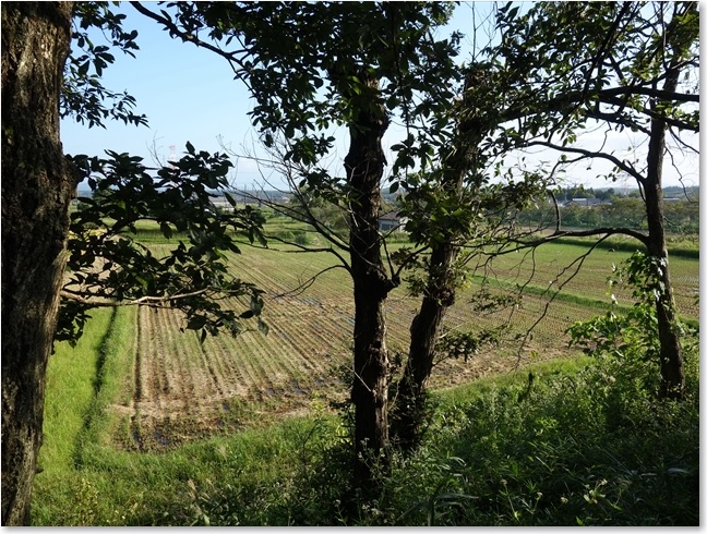 20そこからの眺め