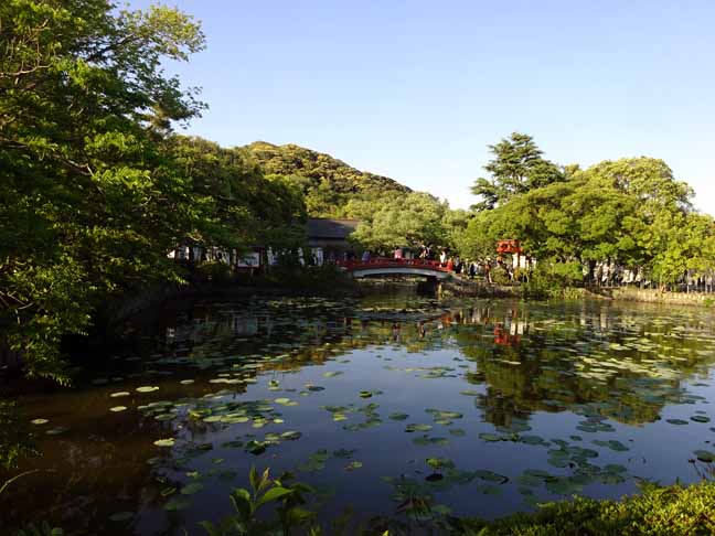 鶴ヶ丘八幡宮 (3).JPG