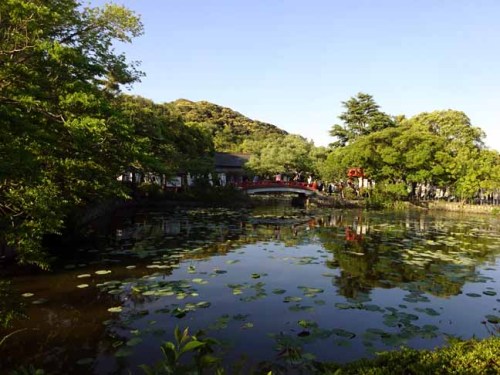 鶴ヶ丘八幡宮 (3).JPG