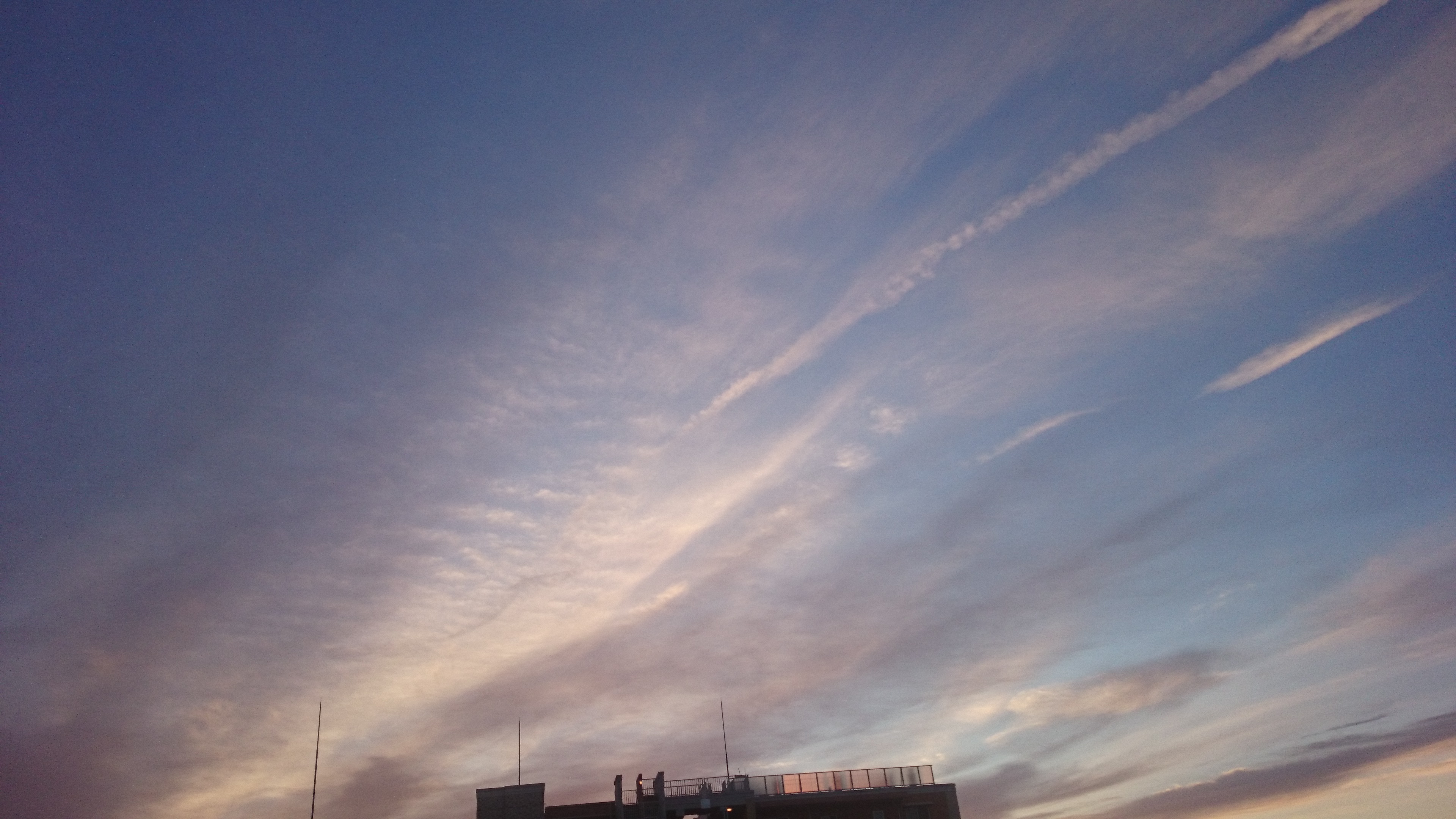 DSC_0389.JPG
