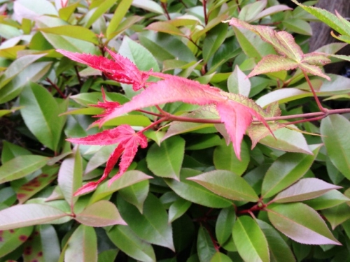 IMG_9195 (640x480).jpg