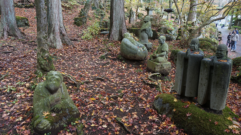 20141112 11241501.jpg