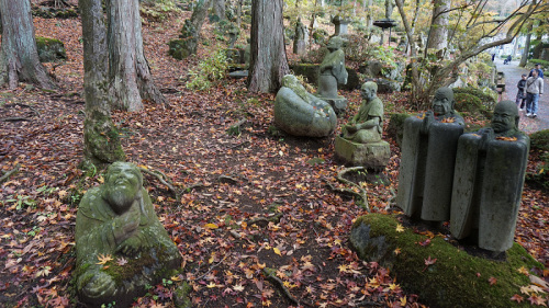 20141112 11241501.jpg