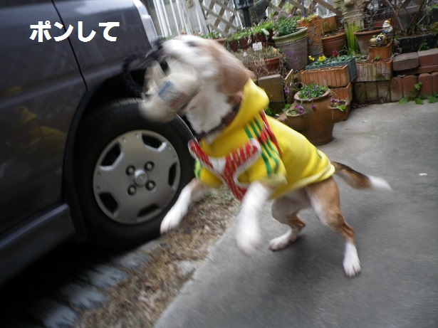 IMGP4465.JPG