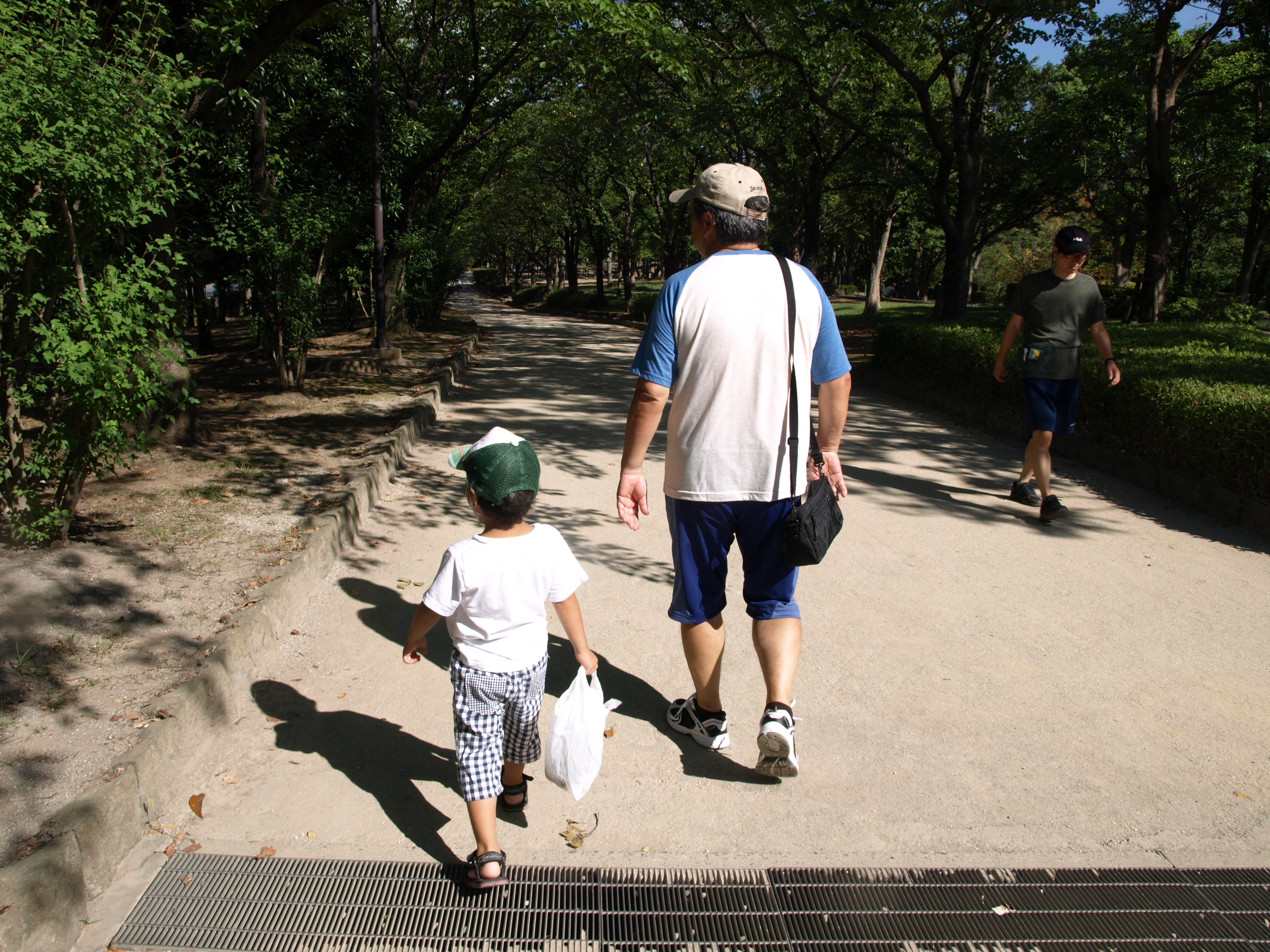 C:\fakepath\P8262272.JPG