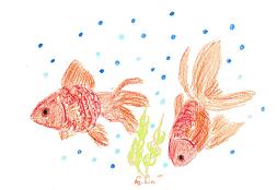 【GoldFish】2013.JPG
