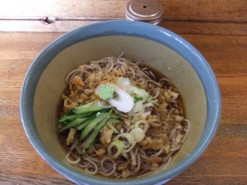 勝浦駅前立喰そばの冷やしたぬきそば１20120730.JPG