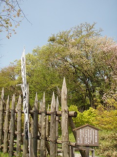 P4290052.jpg